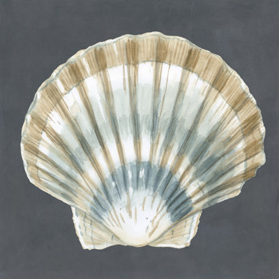 Coquillage sur ardoise III