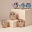 Ensemble de 3 sculptures hibou-609609655