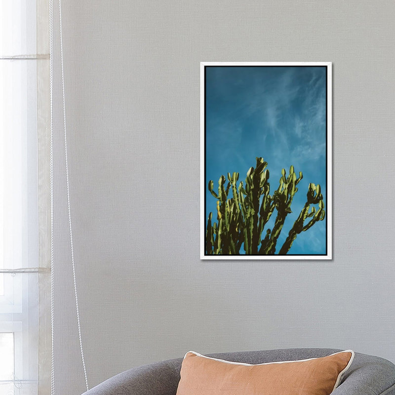 Cactus Sky by Bethany Young - Print on Canvas, White Framed, 66.04cm H x 45.72cm W x 3.81cm D
