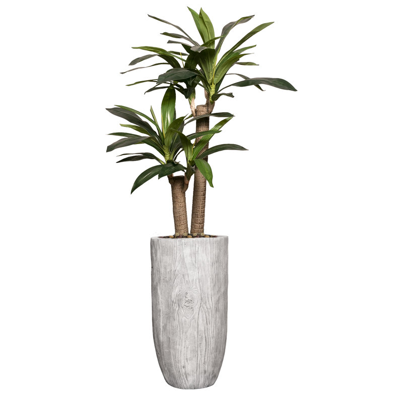 Panama Dracaena plante artificielle 63 po en pot