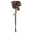 Rope Lotus Pod  Set of 6  23.5"  Natural