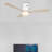 Amoni 52'' Ceiling Fan with LED Lights-1677886505-1677886504