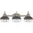 3 - Light Dimmable Vanity Light