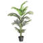 Palmier en pot-1345970930