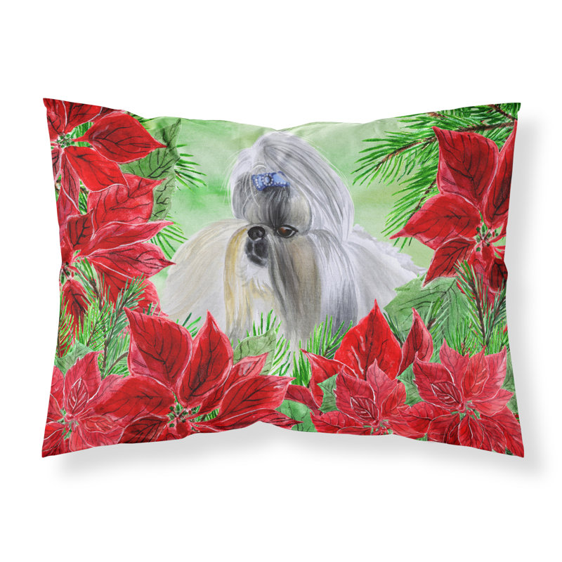 Microfiber, Shih Tzu