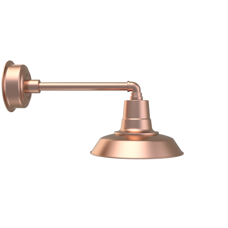 Luminaire de grange d'extérieur à DEL Haleigh, H 10,03 po x l 12 po x P 22,5 po, Rouge cerise