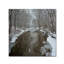 « winter bridge » par kurt shaffer, reproduction de photo sur toile tendue-12629615