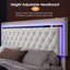 Chantaya Upholstered Storage Bed-266668319-266668315