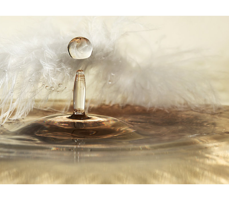 Wrapped Canvas Print, 50.8 cm H x 76.2 cm W