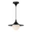 Luminaire suspendu conique à 1 lumière Hermit-1232675798-1232675799