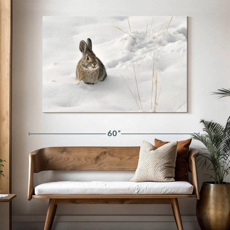 Ronce lapin dans la neige