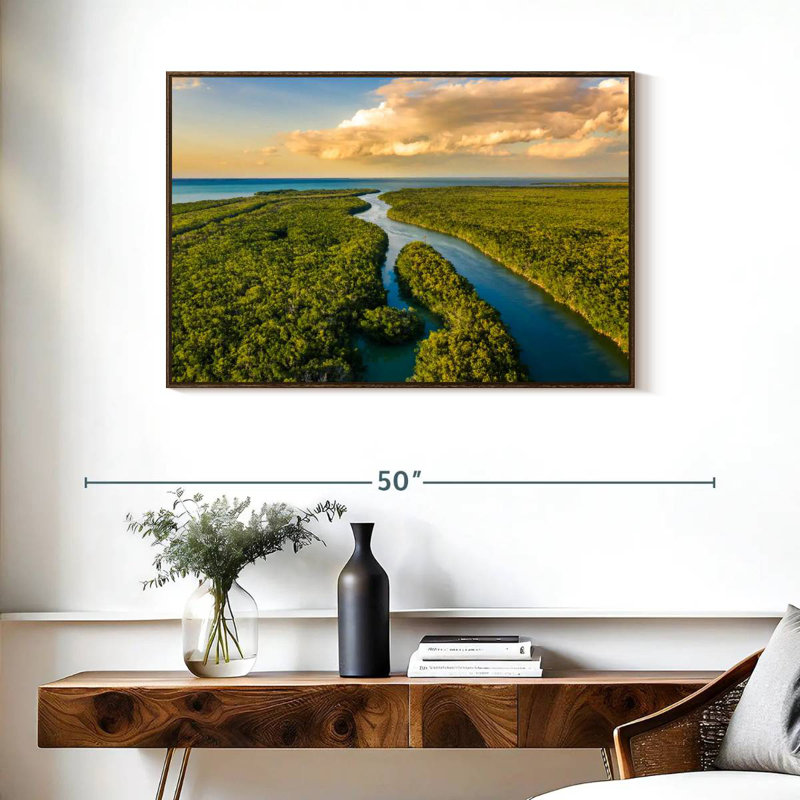 Parc national des Everglades, 37 po x 25 po, Cadre flottant en noyer