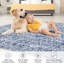 Abstract Machine Printed Area Rug-265966429-265966416