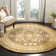 Braxtan Silk Road Hand Tufted New Zealand Wool Oriental Rug