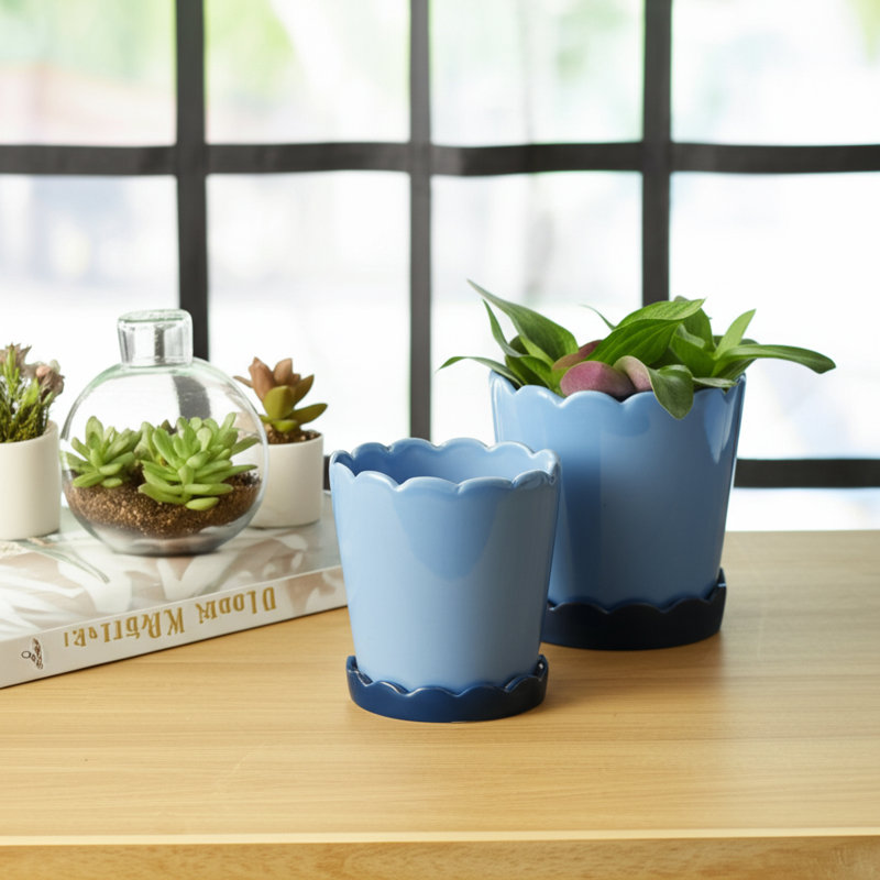 Saucer Planters Ceramic Scalloped Edge Design Modern Decorative Versatile Round Shape Durable Construction Set Of 2