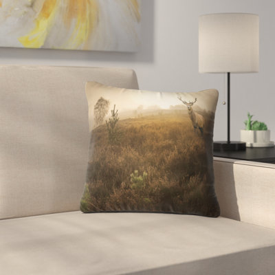 Throw Pillow