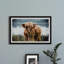 Lakeside Grass - Single Picture Frame Print-686553349
