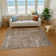 Premium Machine Washable Honig AMF1656 Global Rug