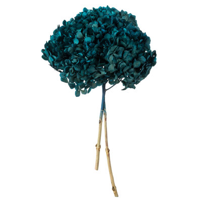 Preserved Hydrangea Stems