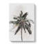 Cuban Palm Tree In Abstract - Wrapped Canvas Print-55315332