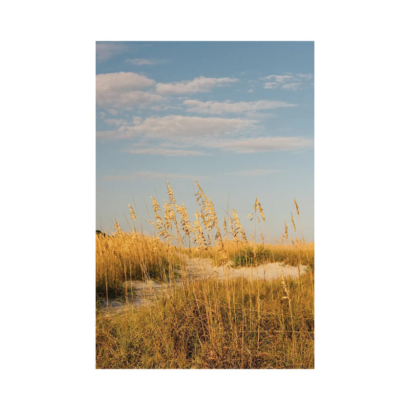 Hilton Head Island II by Bethany Young - Print on Canvas, Wrapped Canvas, 45.72cm H x 30.48cm W x 1.91cm D