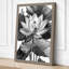 Lotus in Bloom Botanical - Wrapped Canvas-7802704-7802729