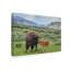 «Bison and Calf» de Fillmer, reproduction de photo sur toile tendue-30362793