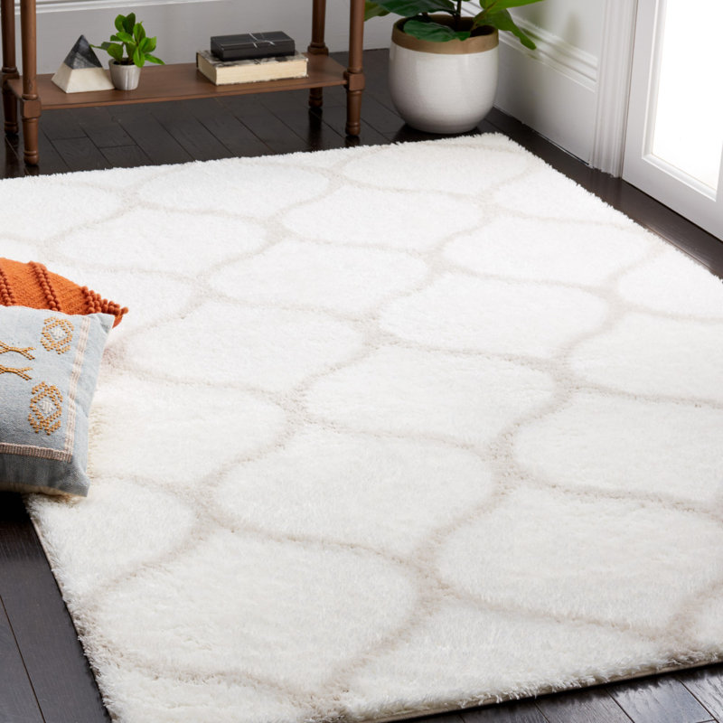 White and Silver Geometric Shag Synthetic 4' x 6' Rug