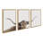Sylvie Texas Longhorn 1 2 3 Framed Canvas by The Creative Bunch Studio 3 Piece 18x24 Natural