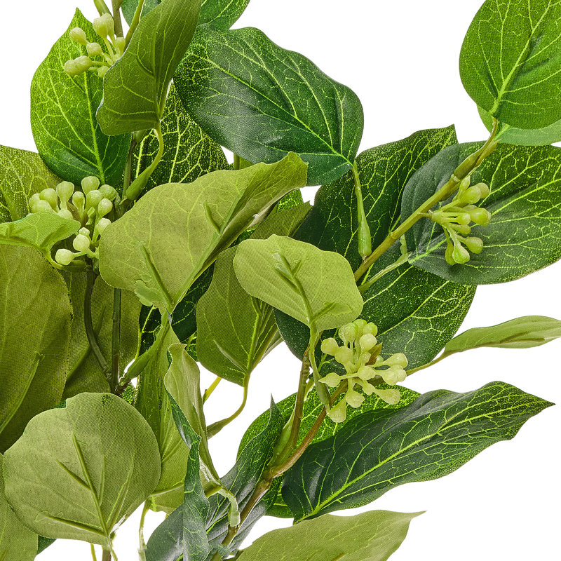 19" Seedling Beech Greenery Bundle, Green