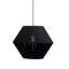 Rudolfa 1 - Light Matte Black Unique/Statement Pendant