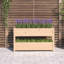 Angustias Self-Watering Wood Raised Garden Bed-596069338-596069343