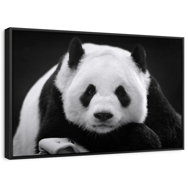 Reproduction sur toile Panda noir et blanc, H 13 po x l 19 po