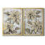 Poinsettia Study I - Ensemble de 2 peintures sur toile encadrées-96792312-96792316
