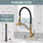 Aleasha Kitchen Faucet-77864178