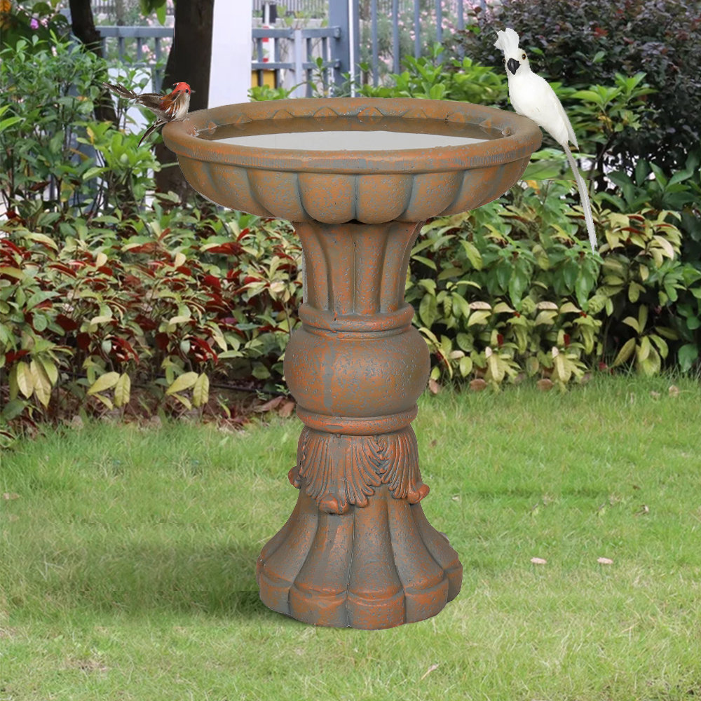 Astoria Grand Ayako Concrete / Cement Birdbath | Wayfair