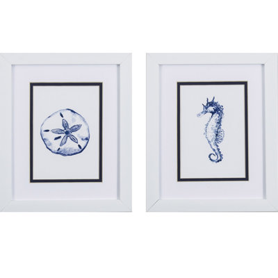 " SAND DOLLAR SEAHORSE S/2 "