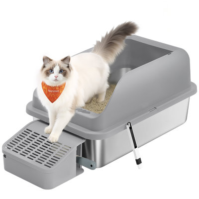 Litter Box with Scoop