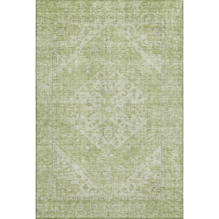Premium Machine Washable Wayne AMF1104 Global Rug