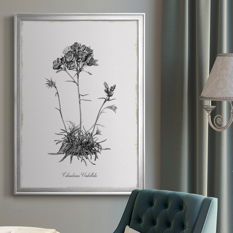 Simply Caladrinia - Cadre photo, impression sur toile, H 30,5 po x l 42,5 po x P 1,5 po, Argent