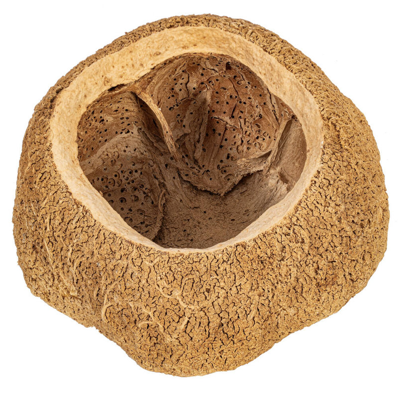 Pod sapa