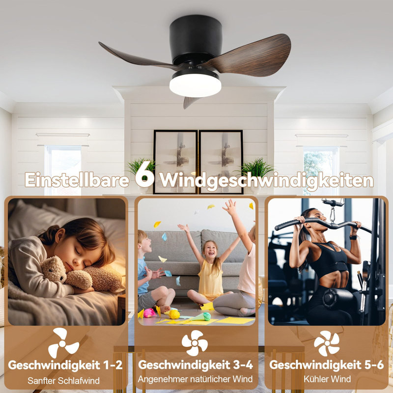 Ceiling Fan with LED Lights