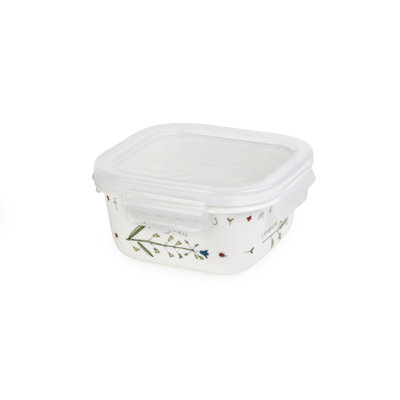 Food Storage Container - Set of Containers and 1 Lids