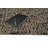 Erric Wool Indoor Rug-1338545113