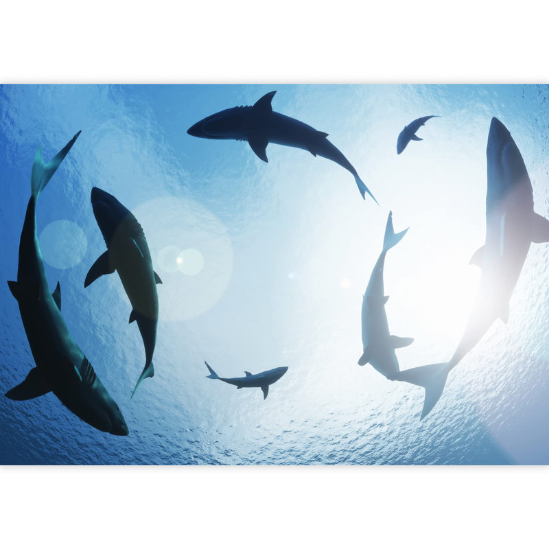 Grand papier peint auto-adhésif School of Sharks, L 66 po x l 96 po