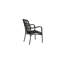 Rizal Loungechair Alumnium - Black /
