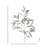 Willow Eucalyptus Spray 37" 