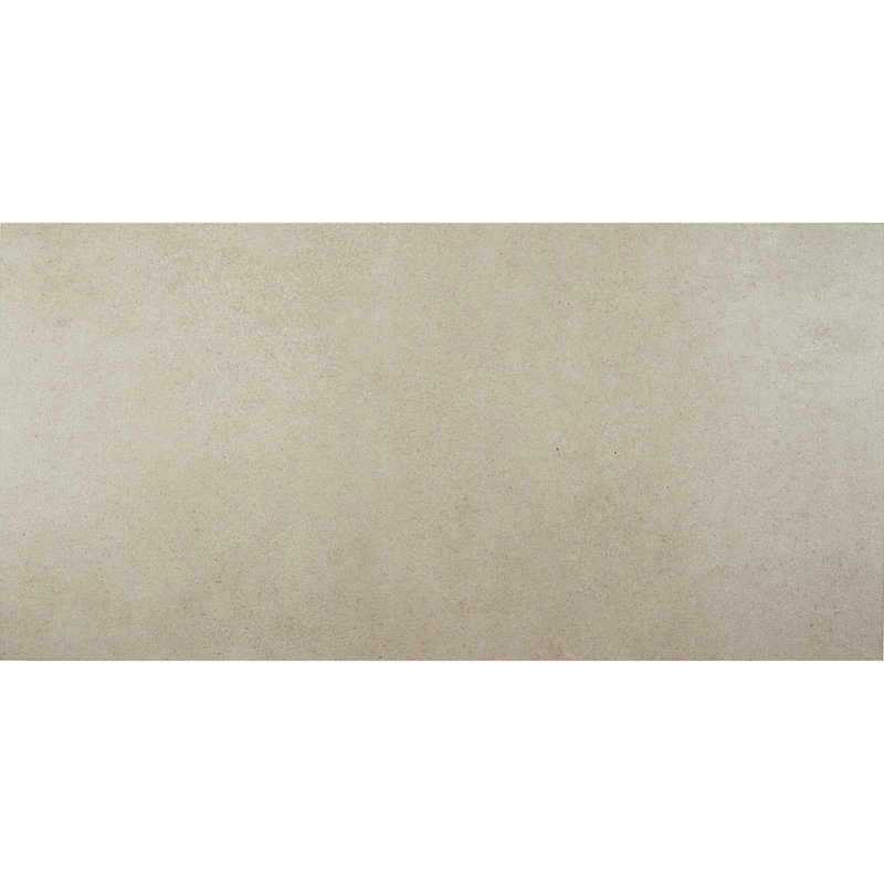 High Street Semi-Polished 12'' W x 24'' L Porcelain Concrete Look Singular Tile, Champagne