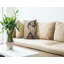 Coussin Geisha
