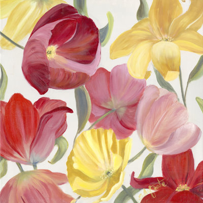 Sandy Spring Mix II